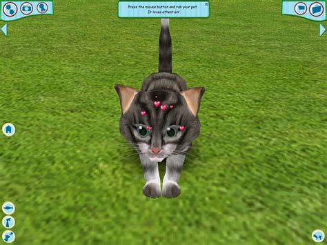 Catz Screenshots For Windows Mobygames