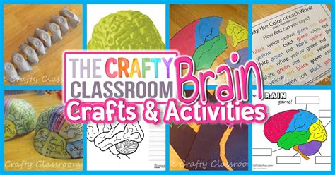 The nervous system also senses activity inside of your body. Human Brain Craft & Activities