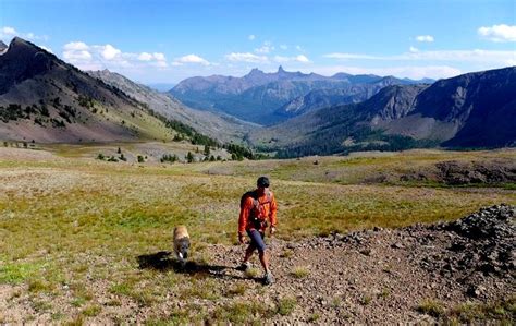 Maybe you would like to learn more about one of these? Camping Cabin near Yellowstone Park
