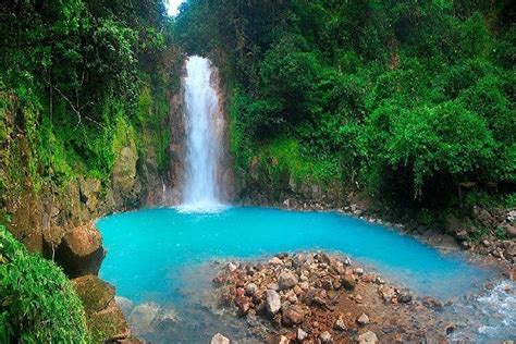 Find the perfect tenorio volcano national park stock photos and editorial news pictures from getty images. Only for hiking lovers - Volcan Tenorio National Park ...