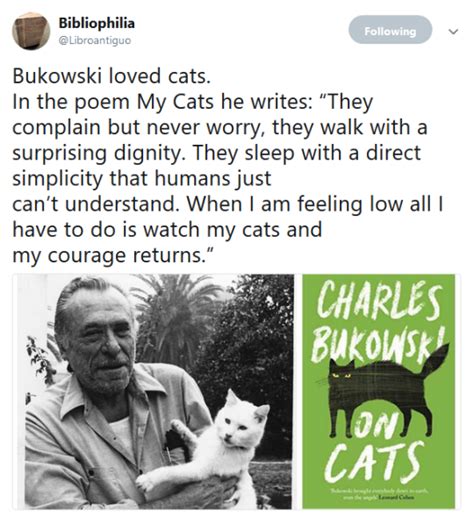 Charles Bukowski On Cats The Solitary Bibliophile