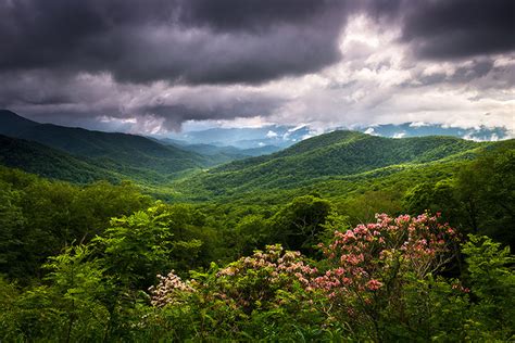 North Carolina Blue Ridge Parkway Spring Flowers Scenic Landscape