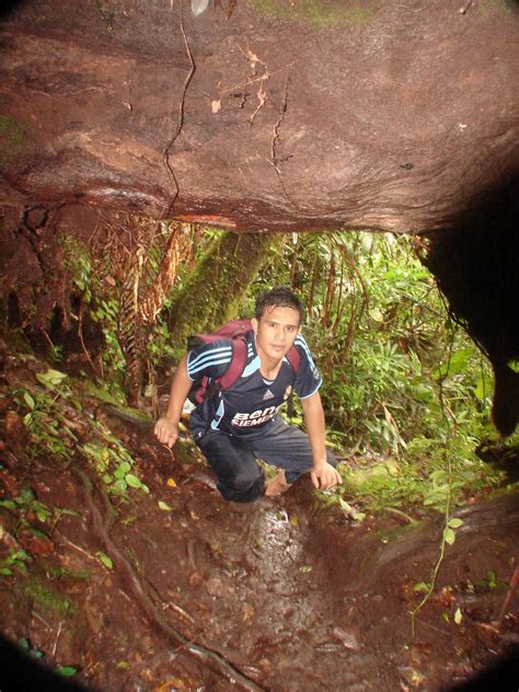 Gambar foto lukisan pemandangan alam gunung, desa, kampung, kota, bawah laut, hitam putih, crayon gunung, sawah, dan matahari menjadi gambar favorit sebagian besar siswa sd saat itu. Ekspedisi Gunung Brinchang Cameron Highlands | Destinasi ...