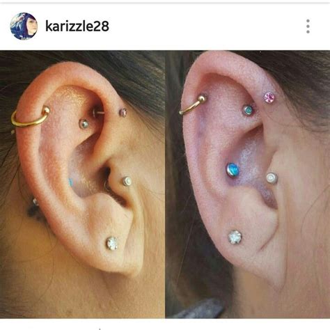 Forward Helix Conch Lobes Tragus Rook Faux Rook Helix