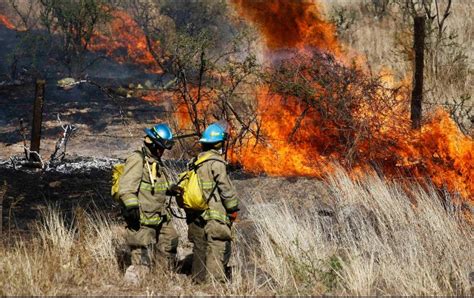 We did not find results for: En cuatro meses, se registran más de dos mil incendios ...