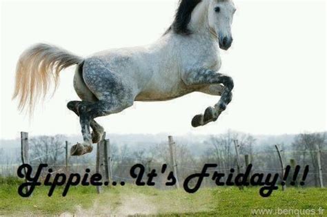 Friday Horses Pinterest