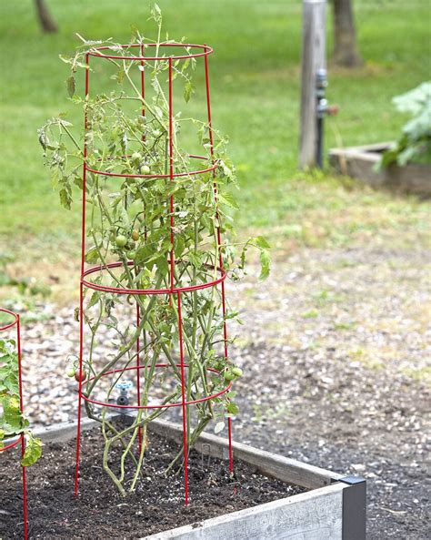 Tall Weather Defender Tomato Cages Set Of 2