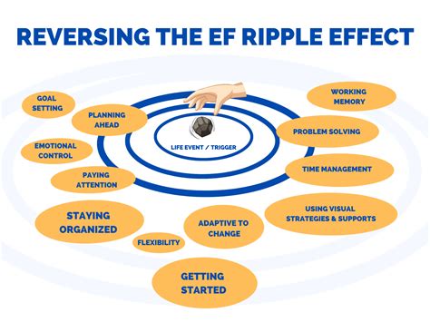 Understanding The Executive Functioning Ripple Effect | Life Skills