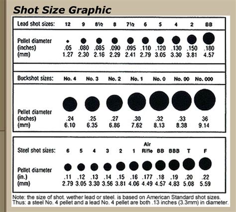 Shot Size Chart For Shotgun Shells My XXX Hot Girl