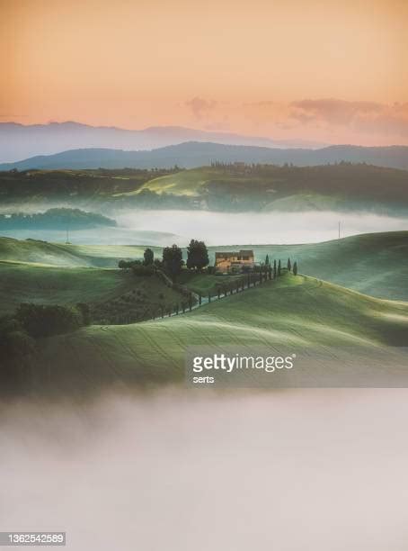 Tuscany Olive Groves Photos And Premium High Res Pictures Getty Images