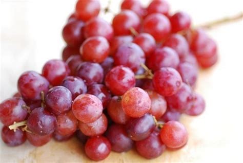 Ashgive.com ilustrasi cara menggambar buah buahan anggur merah manisss dan nikmattttt ini dipetik dari website berikut. Biji Anggur Efektif Perangi Kanker Usus | Republika Online