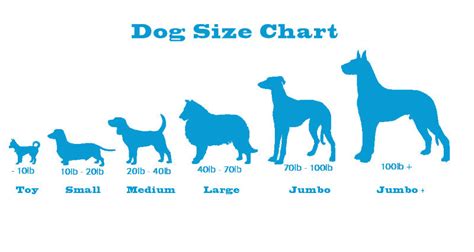 Dog Size Chart Small Medium Large