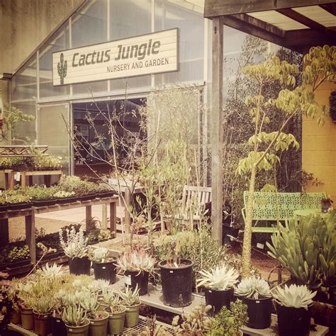 702 channing way, berkeley (ca), 94710, united states. Nursery Archives - Cactus Jungle