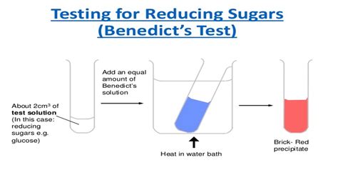 Fehling's test is one of the sensitive test for detection of reducing sugars. Student in 2.0: Test For Aldehydes