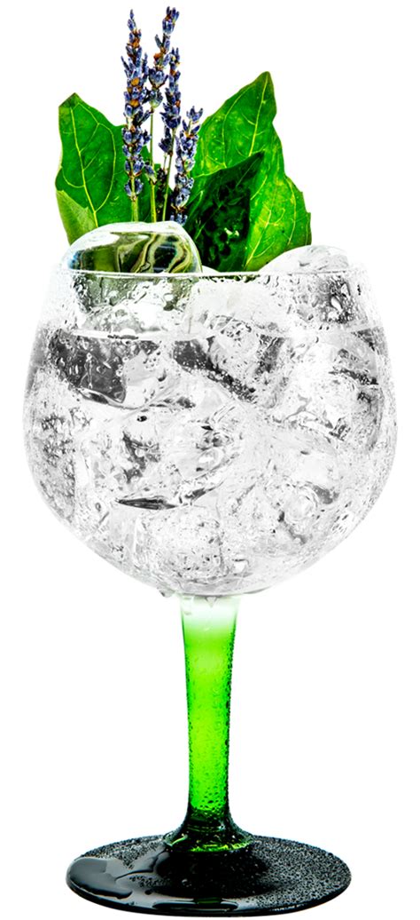 Gin And Tonic Background Png Png Play