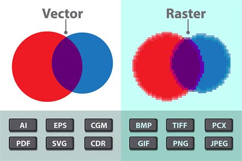 What is a Vector File And Why Are They Important