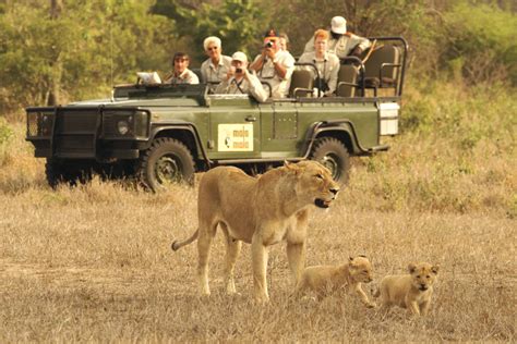 Luxury Safari South Africa Holidays Hayes And Jarvis