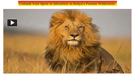 PPT – Unleash Your Spirit of Adventure in Kenya's Pristine Wilderness