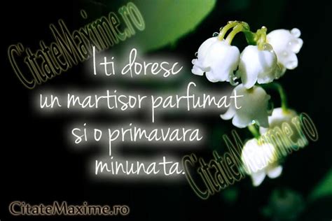 Martisoare traditionale, imagini cusatura cu trandafiri. Martisoare Imagini - Poze Blog Poze De Martisor / Cu ...