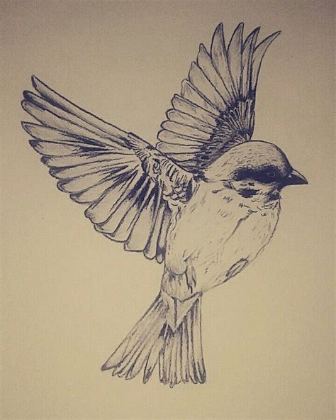 Bird In Flight Pencil Drawing Flying Bird Drawing Bird Drawings Fly
