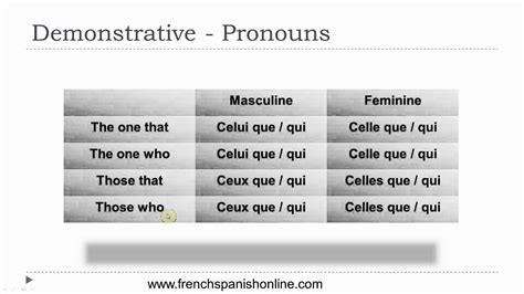 Relative Demonstrative Pronouns LEAVING CERT FRENCH