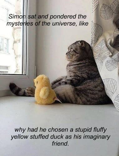 I Still Love You Fluffy Duck Lolcats Lol Cat Memes Funny Cats
