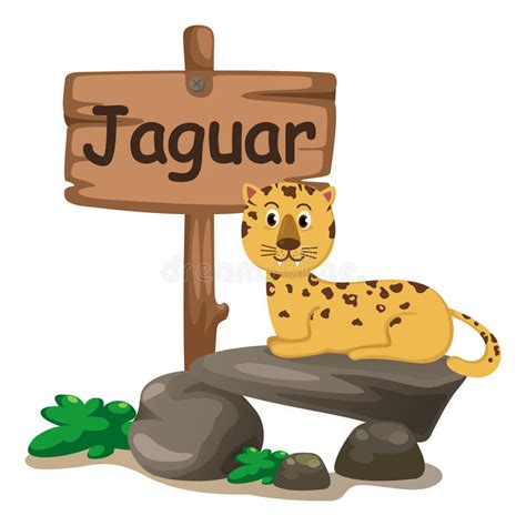 Animal Alphabet Letter J For Jaguar Stock Vector - Image: 45364046