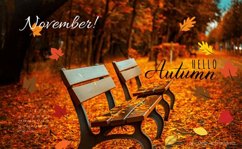 November Autumn Wallpapers Top Free November Autumn Backgrounds