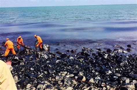 Chennai Oil Spill Experts Fear Lasting Impact On Marine