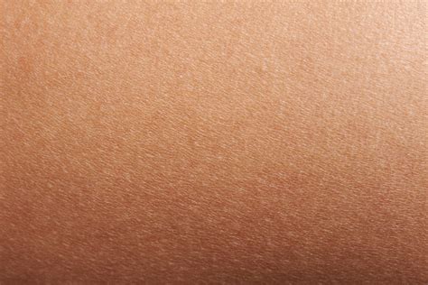 Texture Of Human Skin Stock Photo Download Image Now Istock