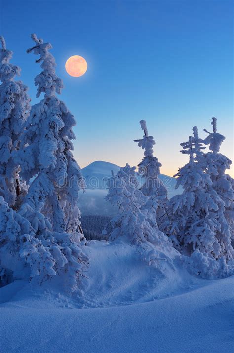 Full Moon In Winter Stock Image Image Of Frozen Full 35651355