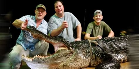 Nightmare Come To Life Record Breaking 920 Pound Alligator Pulled Out