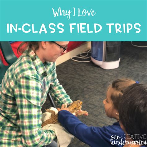 Why I Love In Class Field Trips One Kreative Kindergarten