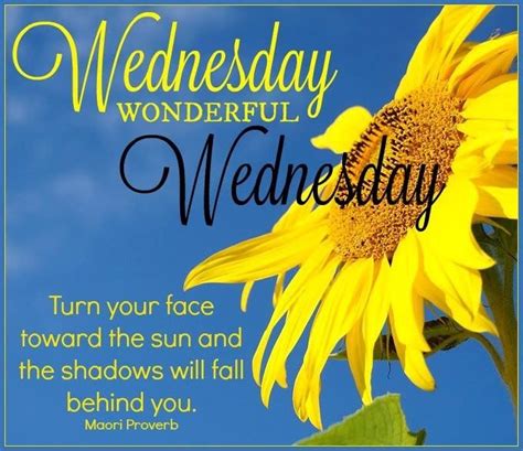 Wednesday Wonderful Wednesday Pictures Photos And Images For Facebook