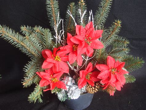 Expert tips on caring for your poinsettia plant and extending its lifespan. Outside Decorations
