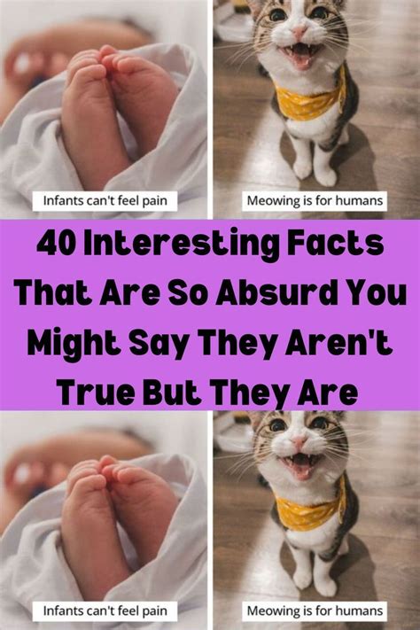 40 Interesting Facts That Are So Absurd You Might Say They Arent True
