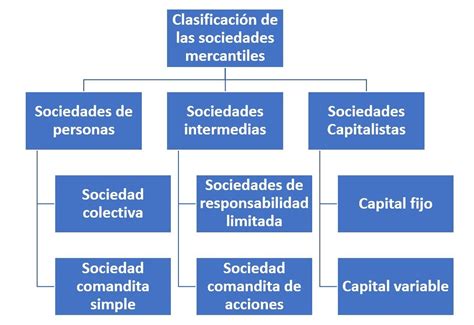 Clasificación De Las Sociedades Mercantiles ¿cómo Se Clasifican
