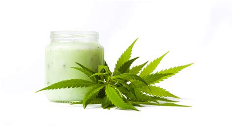 A Comprehensive Guide to CBD Creams and What They Do |CBD Creams For Pain LLC
