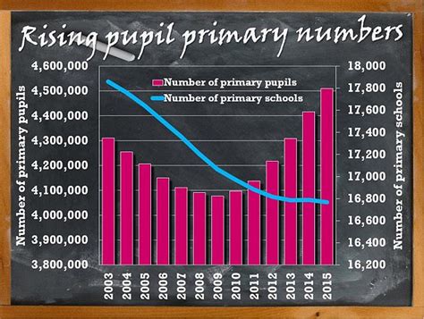 Primary School Numbers Soar By 100k In A Year After Surge In Ethnic