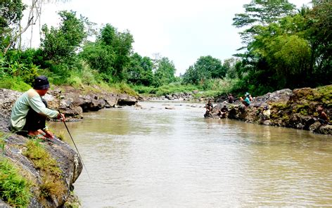 Bagaimana cara membuat umpan ikan patin paling jitu? Cara Memancing Ikan Sungai Untuk Mendapatkan Ikan Besar ...