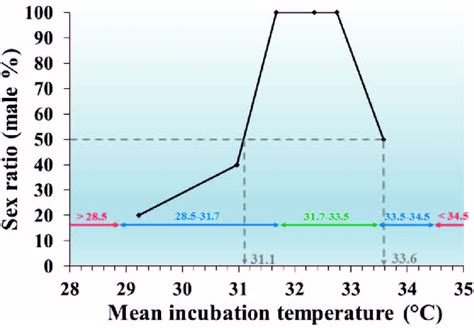 Temperature Dependent Sex Determination Pattern Of Crocodylus Acutus