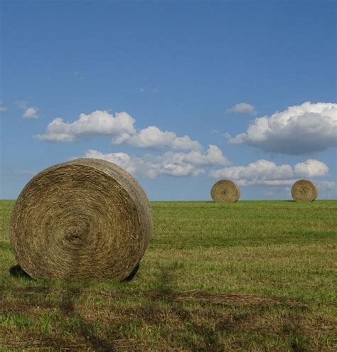 What Is The Difference Between Square And Round Hay Bales California