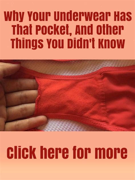 Womens Underwear Have A Pocketutmsourcebridge