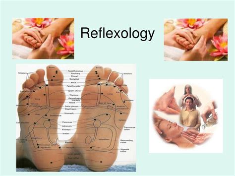 Ppt Reflexology Powerpoint Presentation Free Download Id5406646