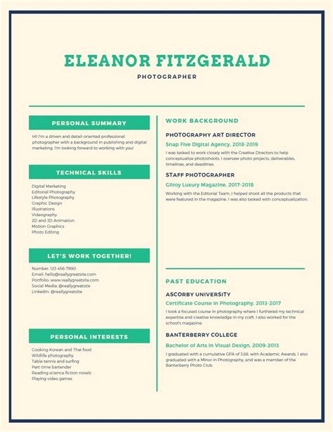 15 Infographic Resume Templates Examples And Builder