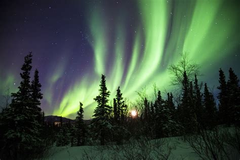 Alaska Aurora Aurora Borealis Northern Lights Nature