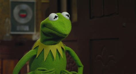 Kermit Faces Competition From Real Life Double