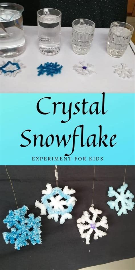 Diy Amazing Crystal Snowflakes Science Project For Kids Go Science