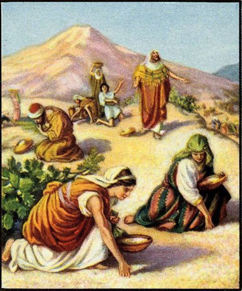 When God Gave Us Manna In The Wilderness Bible Art Bible Study