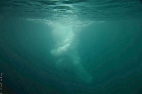 Thalassophobia Is The Terrifying Phobia You Probably Have And Never Knew
